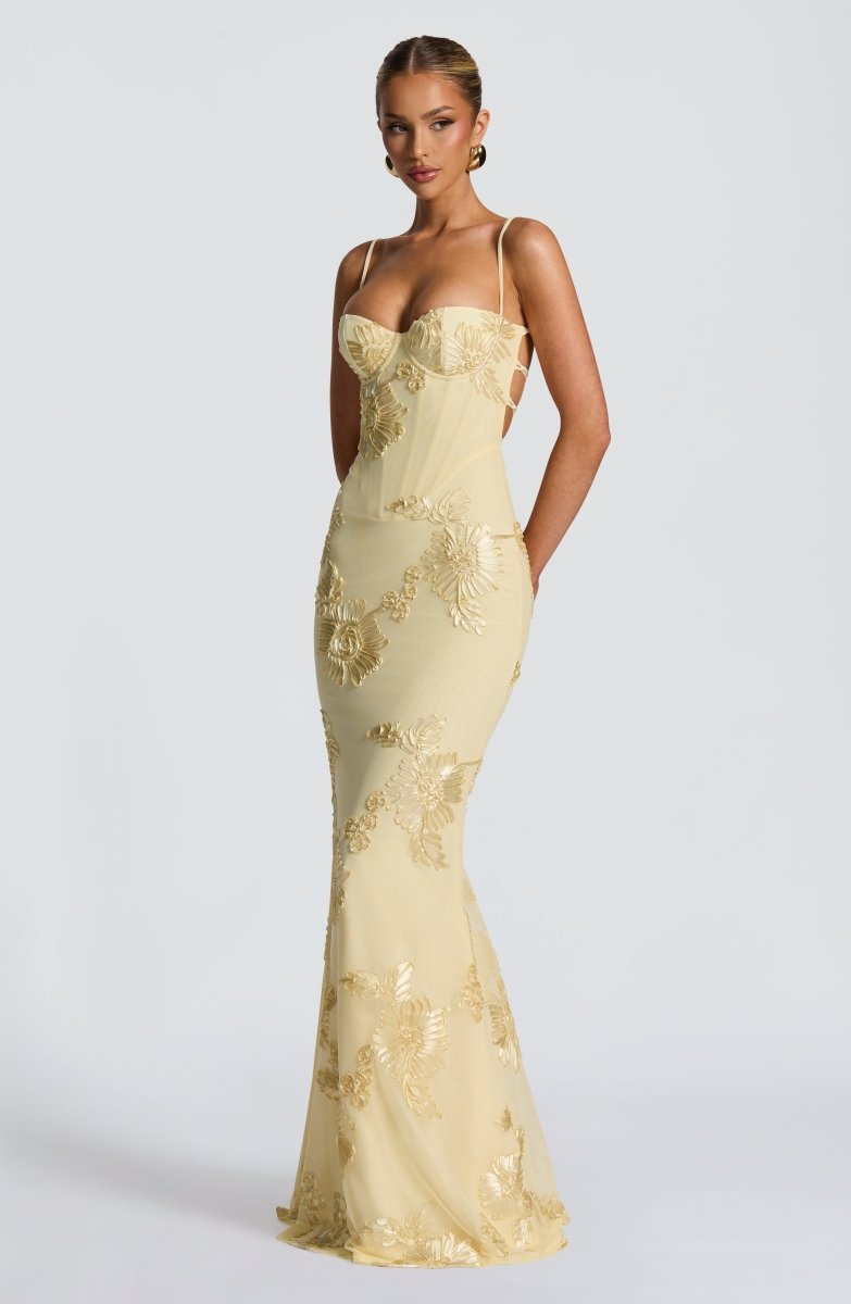 Fiona Figurbetontes Maxi Kleid | Spitze und Offener Rücken 7